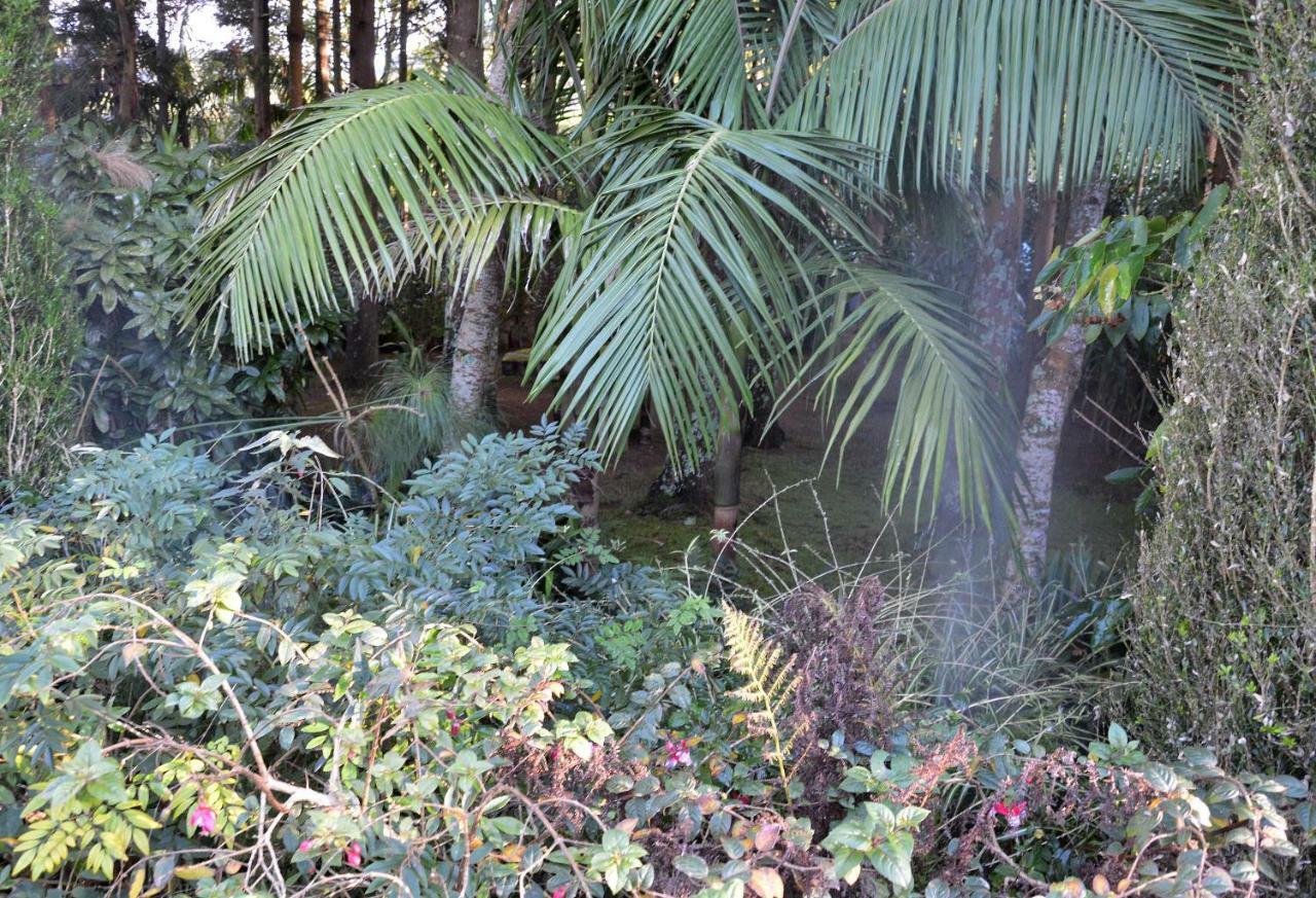 Quinta De Santana - Queimadas Furnas  Kültér fotó