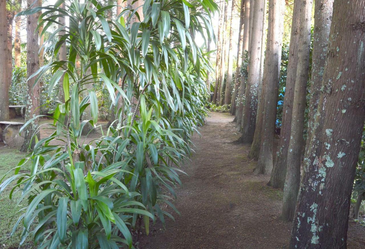 Quinta De Santana - Queimadas Furnas  Kültér fotó